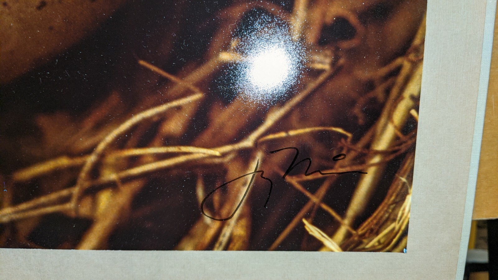 Jay Maisel The Power is On GTE set of 5 signed photographs all #’ed 29/100