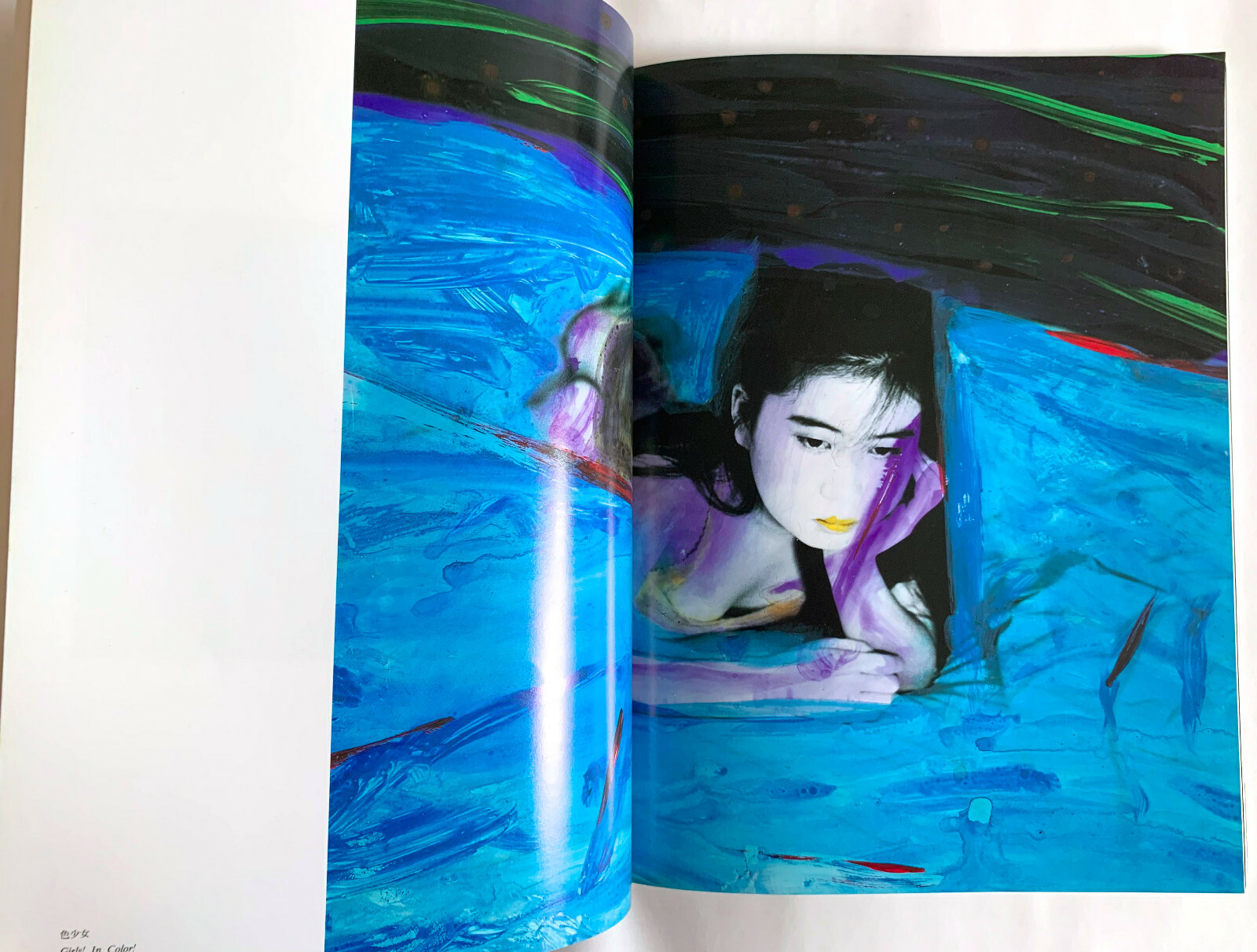 NOBUYOSHI ARAKI SPECIAL ISSUE deja-vu JAPAN PHOTOGRAPHY MAGAZINE 1991 Photo D02