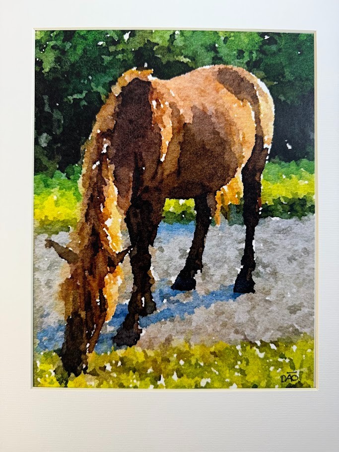 Wild Mustang Digital Watercolor Original Photograph 8 X 10 Mat 11 X 14 – Signed