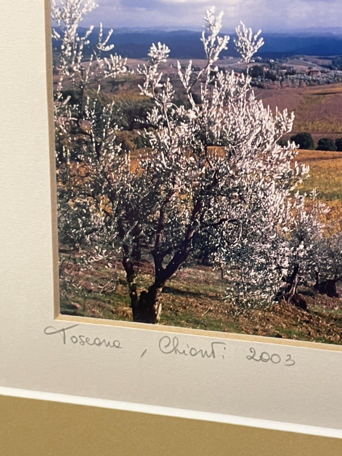 Vintage 2003 Tuscan Countryside Italy Signed Art Photograph Matted And Framed LN