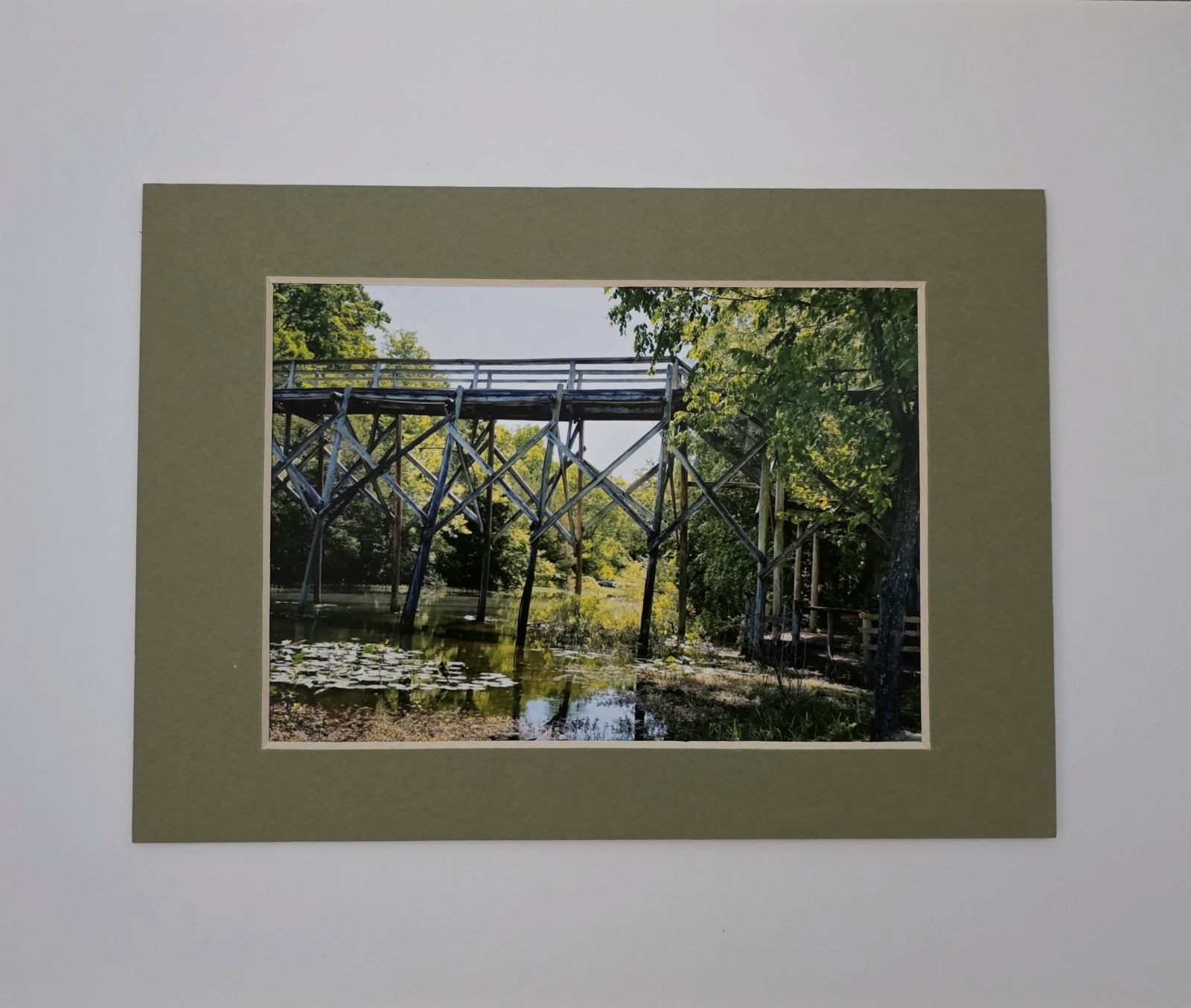 Matted Color Landscape Photograph Print on Paper, Bridge Over River Trees