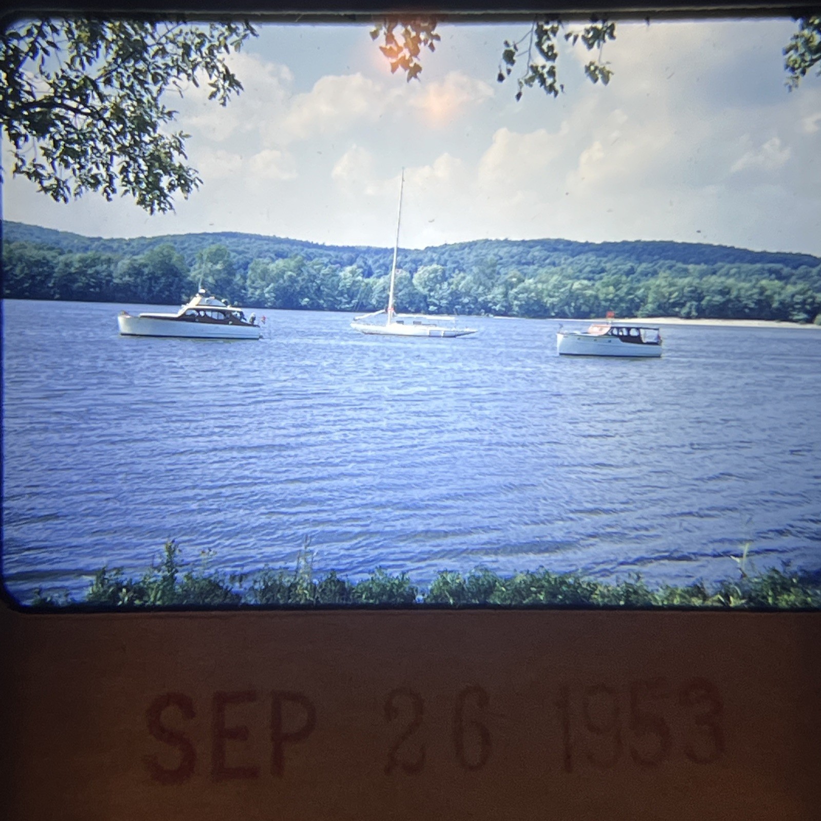 BOATS BOATING LAKE SAILING SAIL 1953 NATURE LANDSCAPE PHOTOGRAPHY WATER TREES