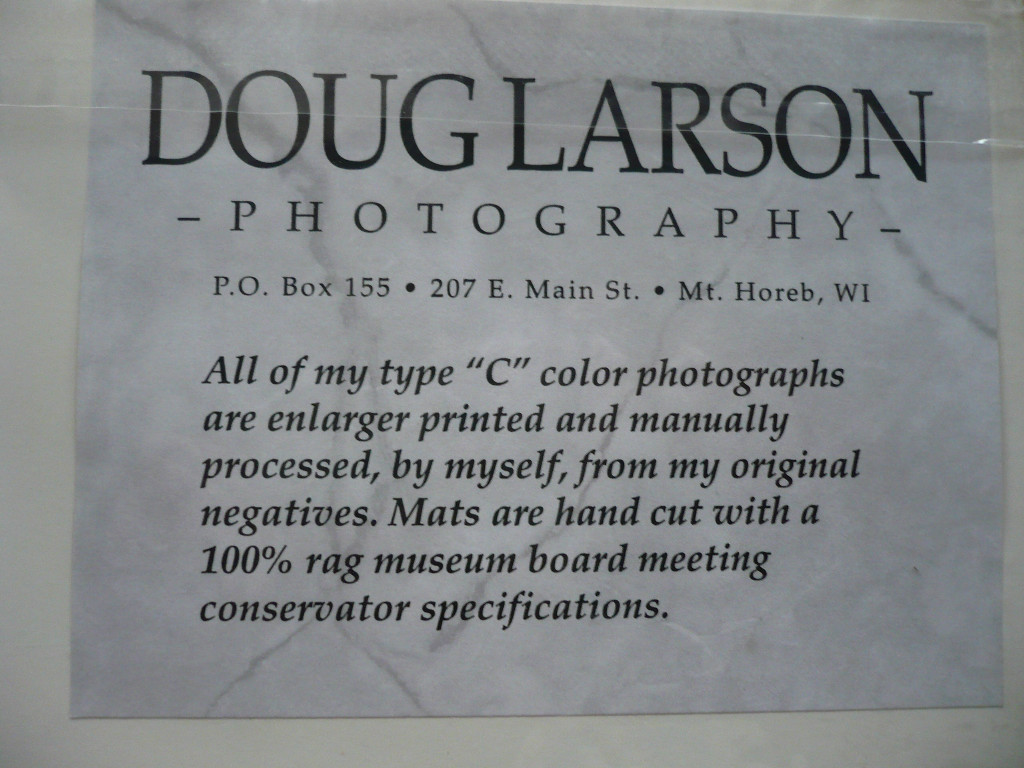 DOUG LARSON, MODERN PHOTO WI, Wisconsin photography, VINES MODERNISM VINTAGE