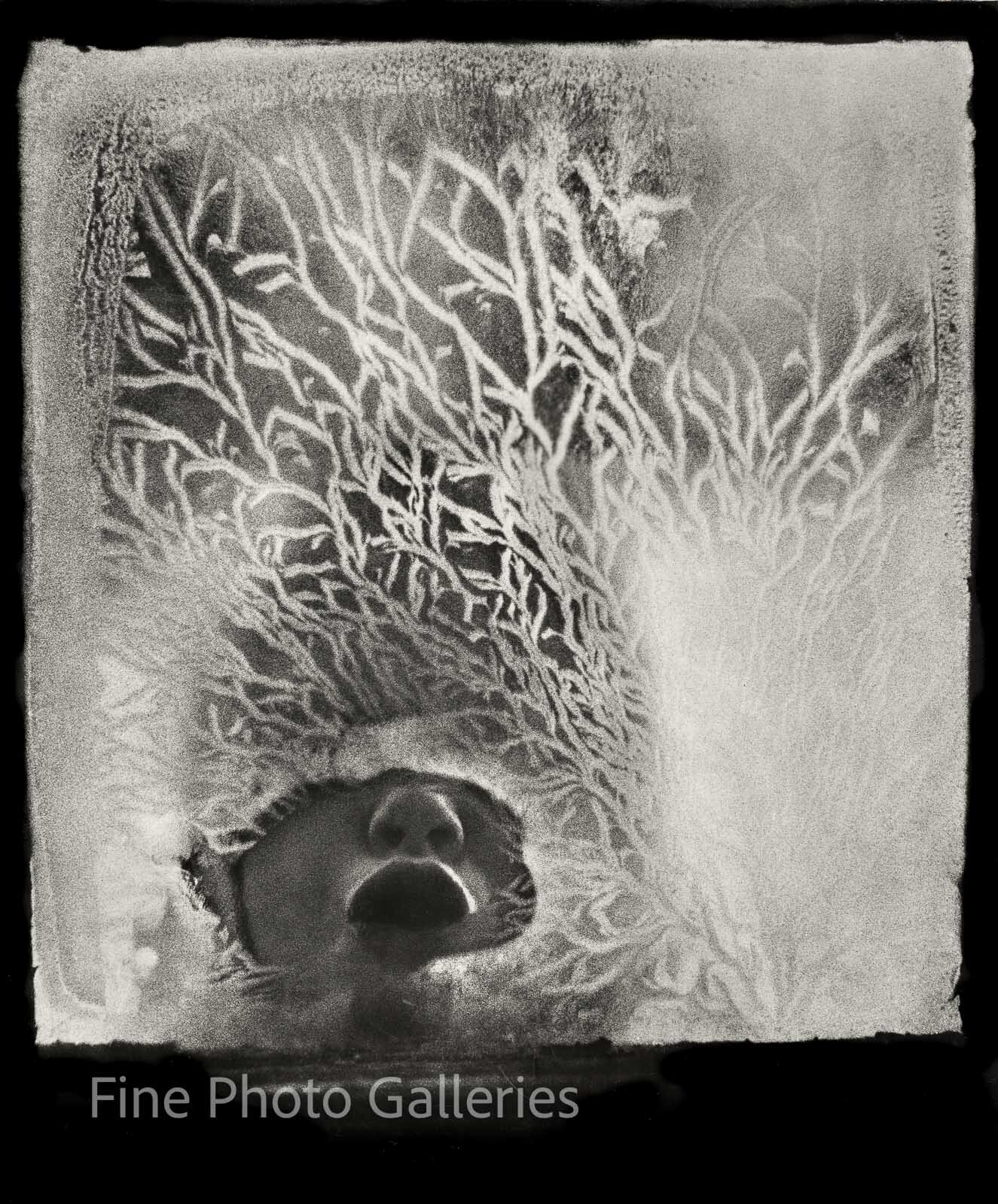 1957 Original JAN LUKAS Child at Winter Frost Window Large Silver Gelatin Photo