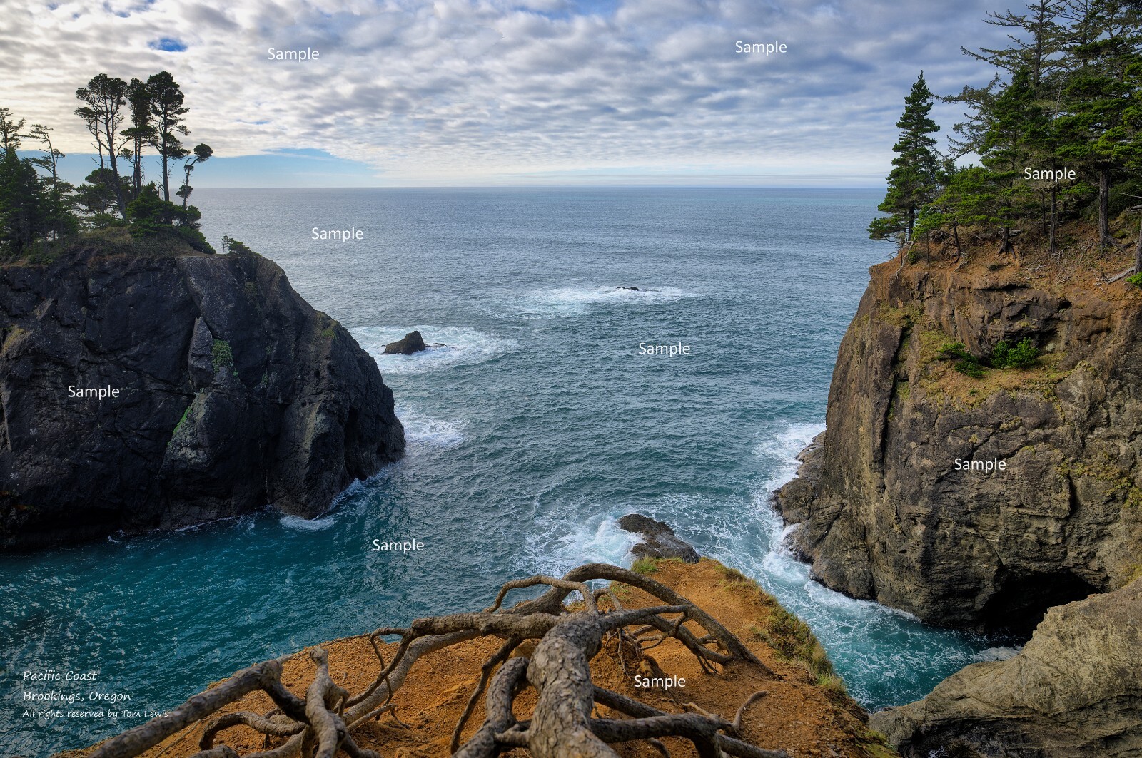 Oregon Coast Seashore Beach Pacific Ocean Poster Photo Print OC32