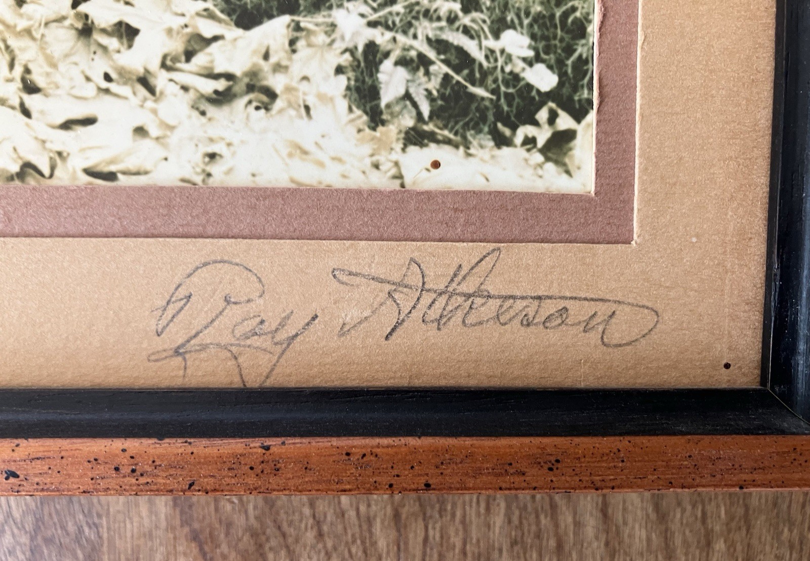 Ray Atkeson Original Photo Large Frames Signed Old Forest Landscape Oregon
