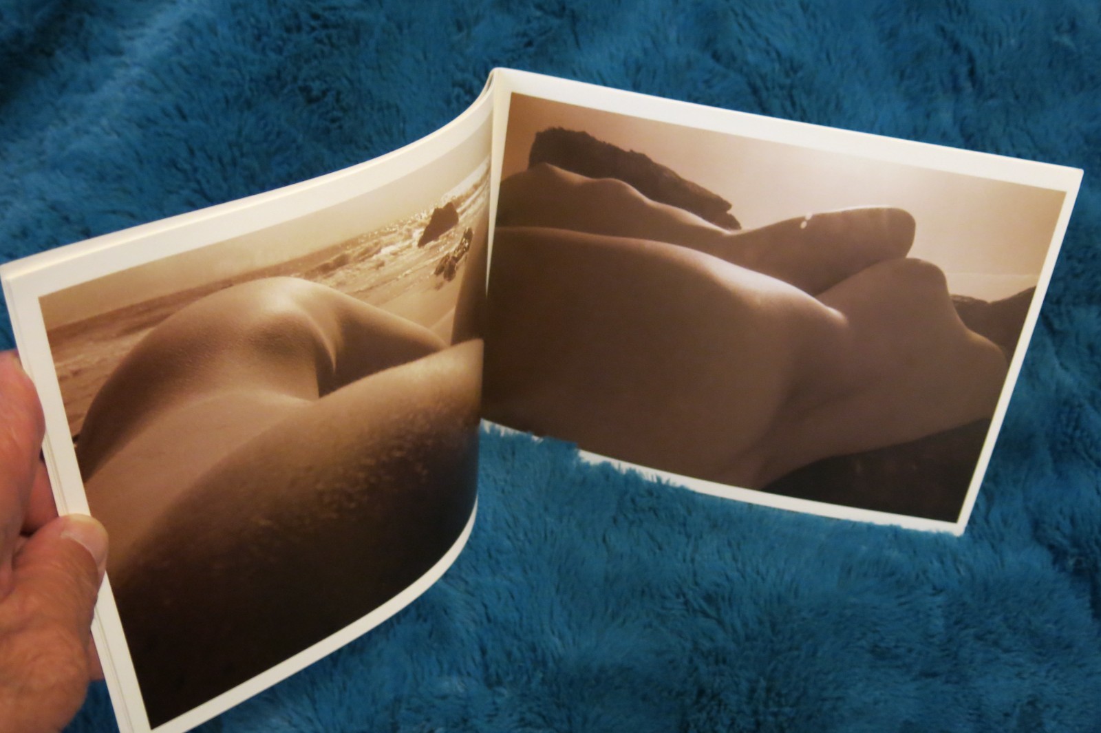 Bodyscapes – (Artistic Female Nudes) Photos by Barry Toranto 2007