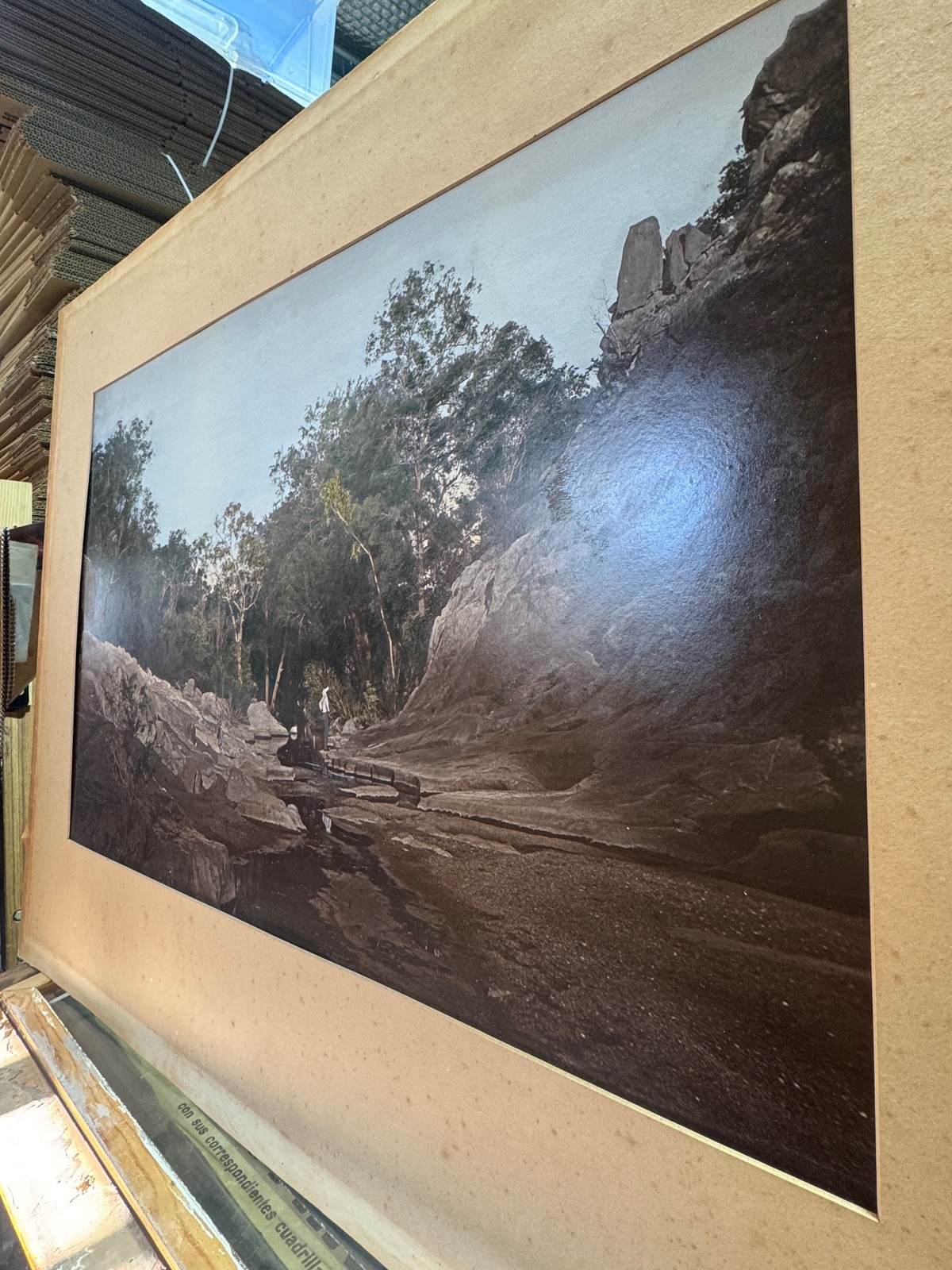 c.1900 Hand-Tinted Albumen Photograph Indigenous Landscape in Burr-Walnut Frame