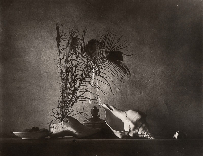 1959/80 Original JOSEF SUDEK Silver Gelatin Photo Seashell Still Life Caravaggia