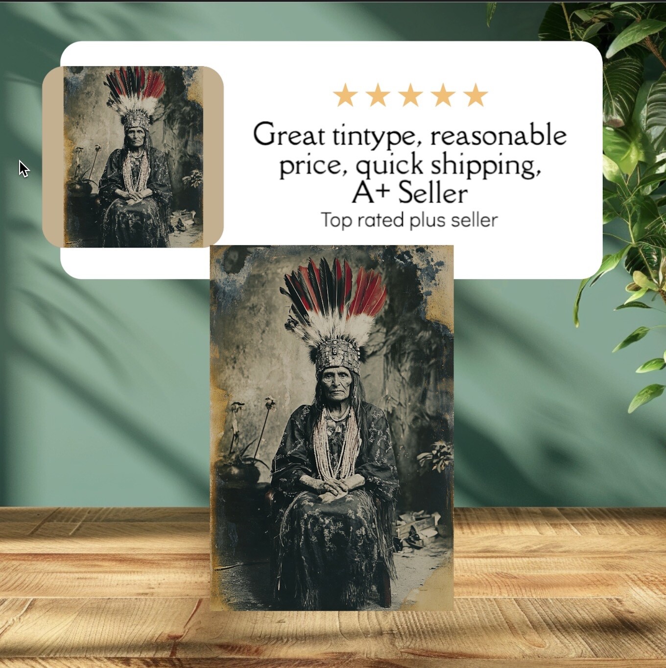 Native American Tintype Limited Edition Museum Series C0025RP