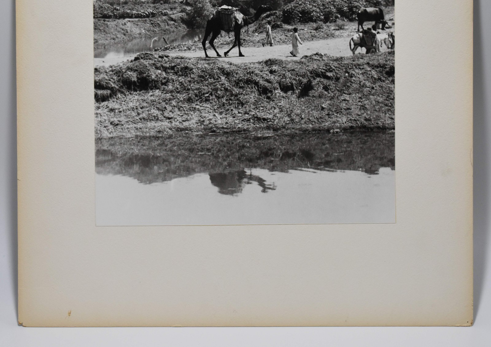 J.W. Howlett Black + white Photograph focusing on a Group of Travelers W/ Camel