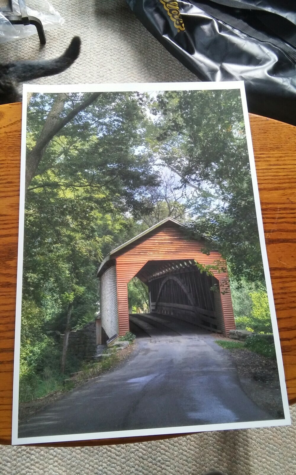 19×13 Digital Art Photograph Covered Bridge Shenandoah County Virginia