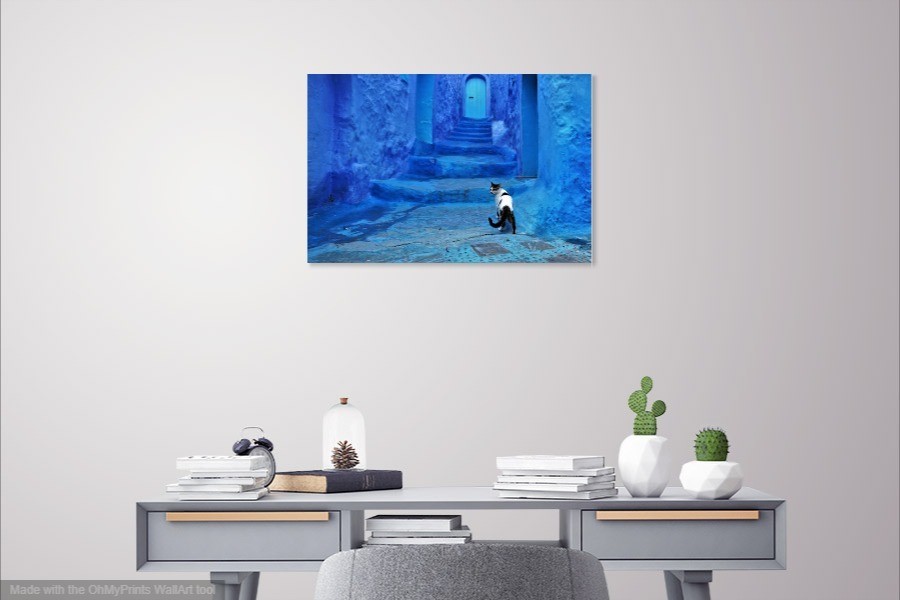 Cat in Blue City on Canvas – Morocco, Africa Travel Pets Dogs Wall Art 16X24