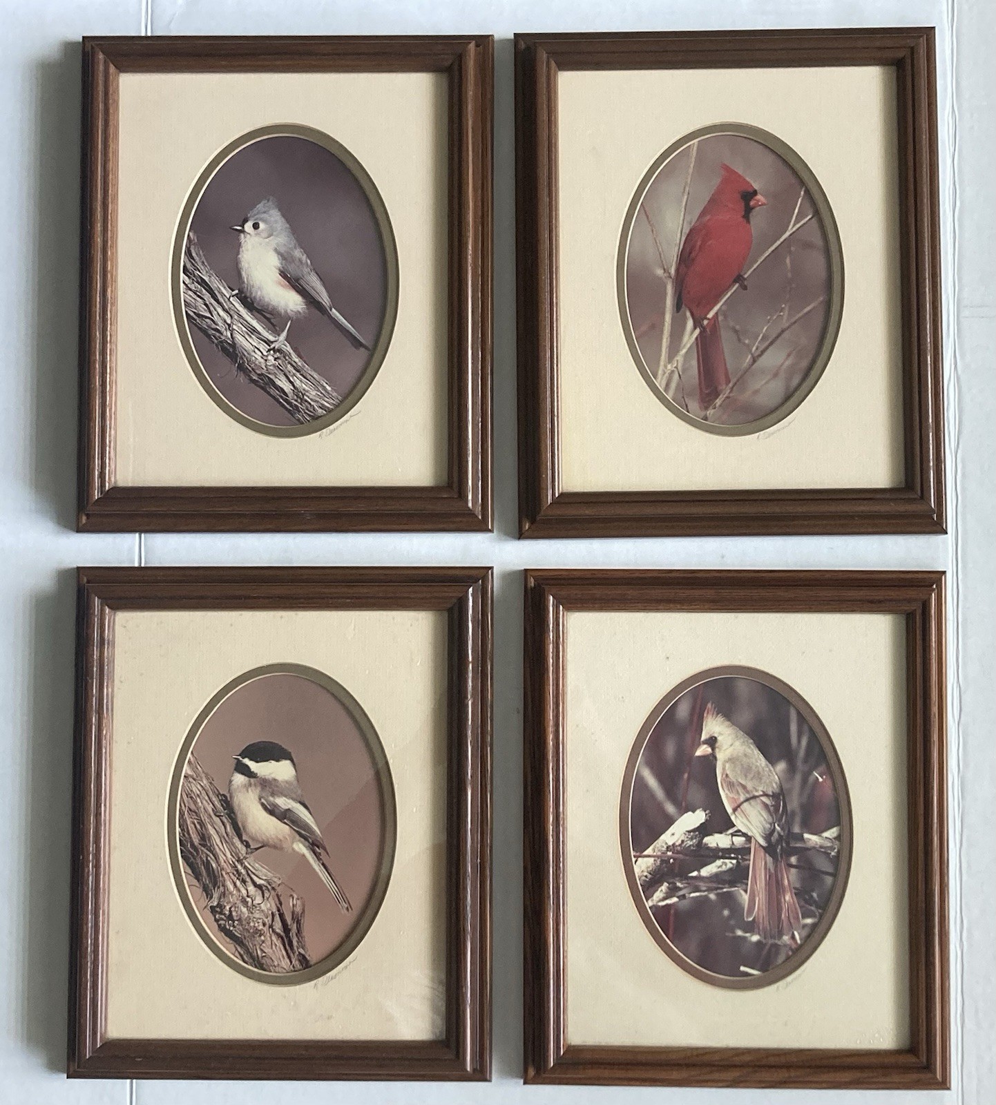 Rick Denomme Bird Photography Set of 4 Framed Cardinal Chickadee Titmouse Signed