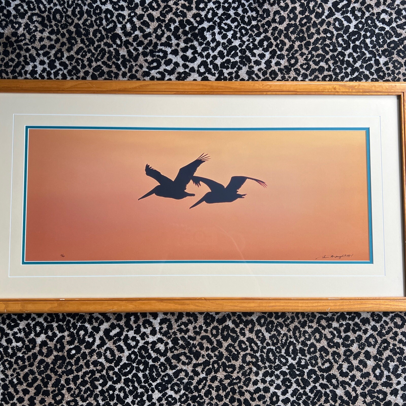 Thomas Mangelsen Signed Art Photo Ltd Pelicans Birds Wings At Dusk Numbered MCM