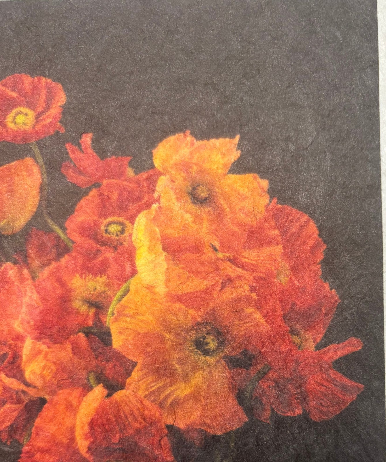 Vintage JONATHAN SINGER Orange POPPIES Bouquet FLOWER Botanica Signed PHOTOGRAPH
