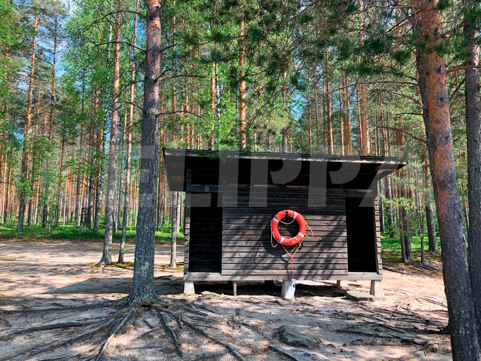 Photo Digital Product Wallpaper Image Picture Background Desktop Art -Lake.Fores