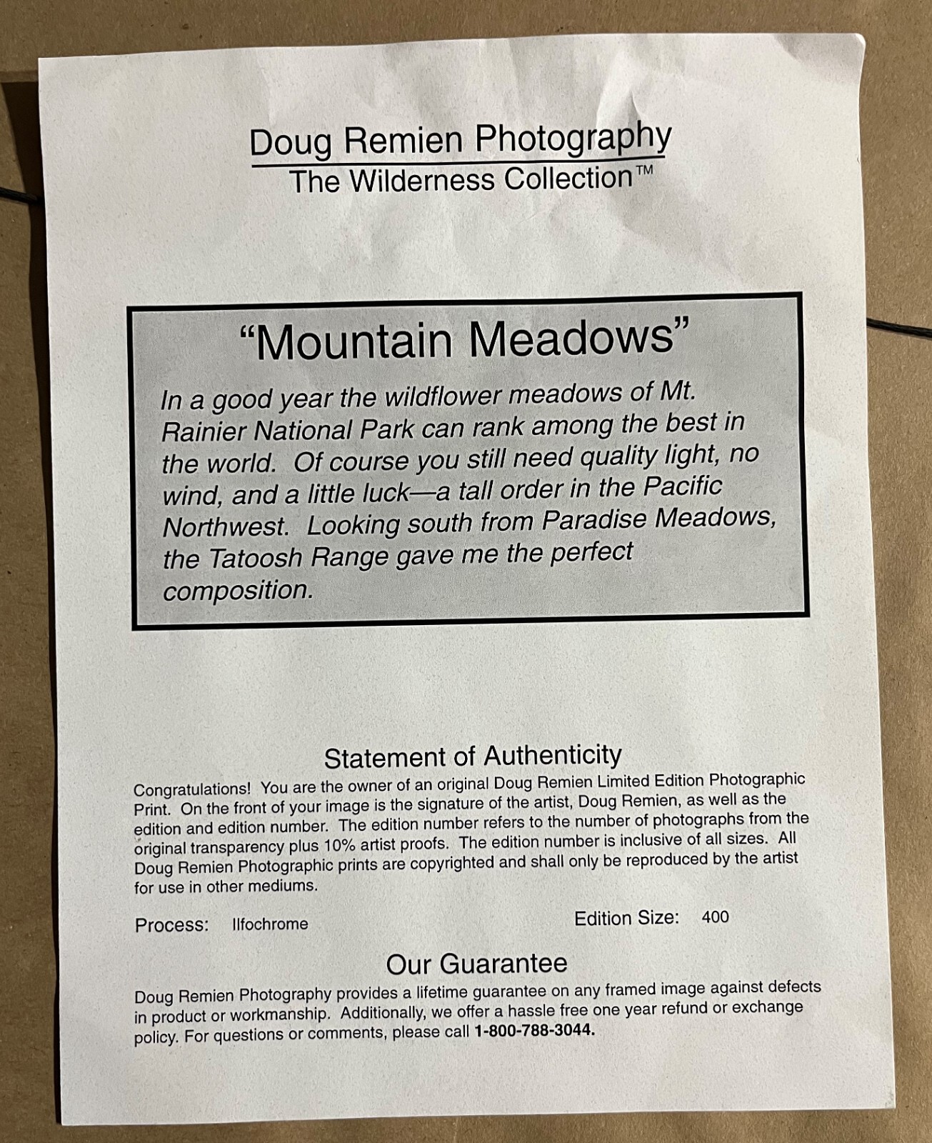DOUG REMIEN Mountain Meadows Mt Rainer Park 156/400 Limited Signed Framed Photo