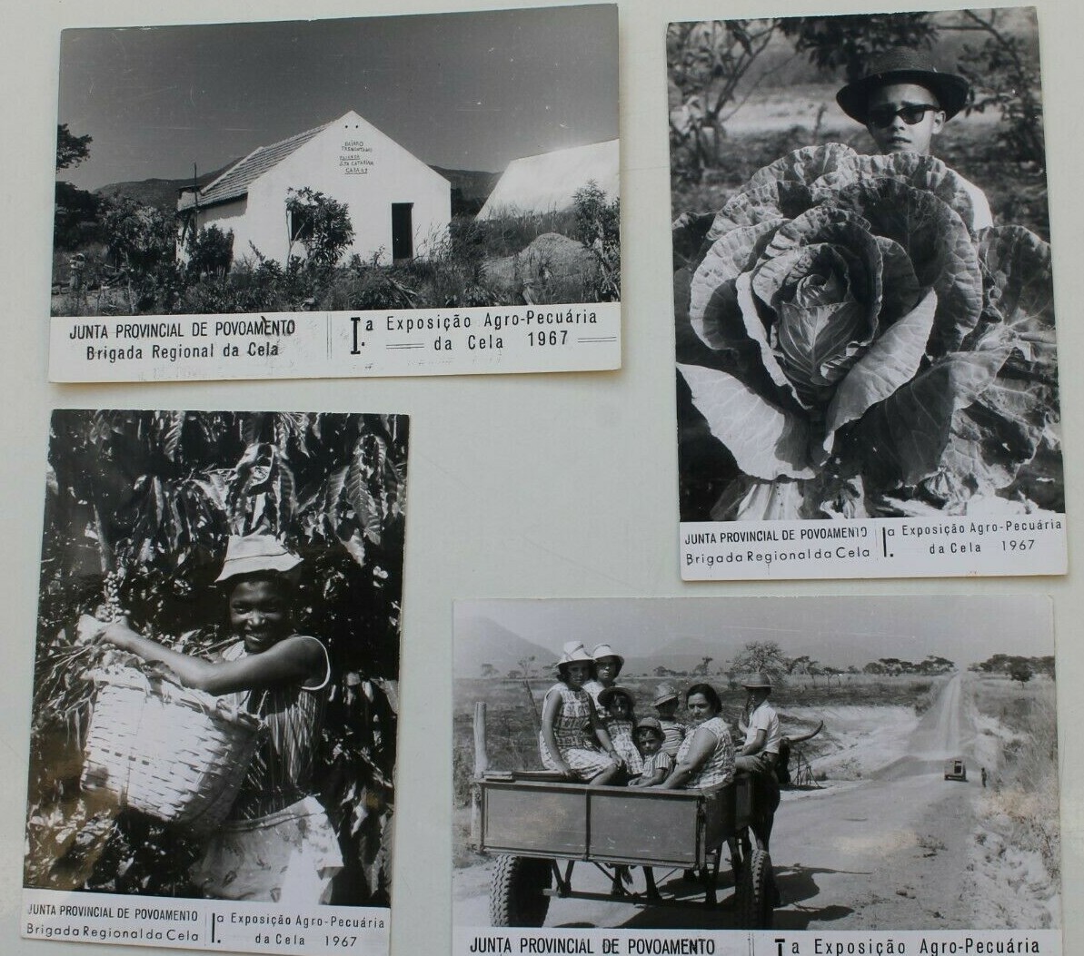 34808 4 Photos PC Regional Brigade Agricultural Exhibition of Cela 1967 Portugal