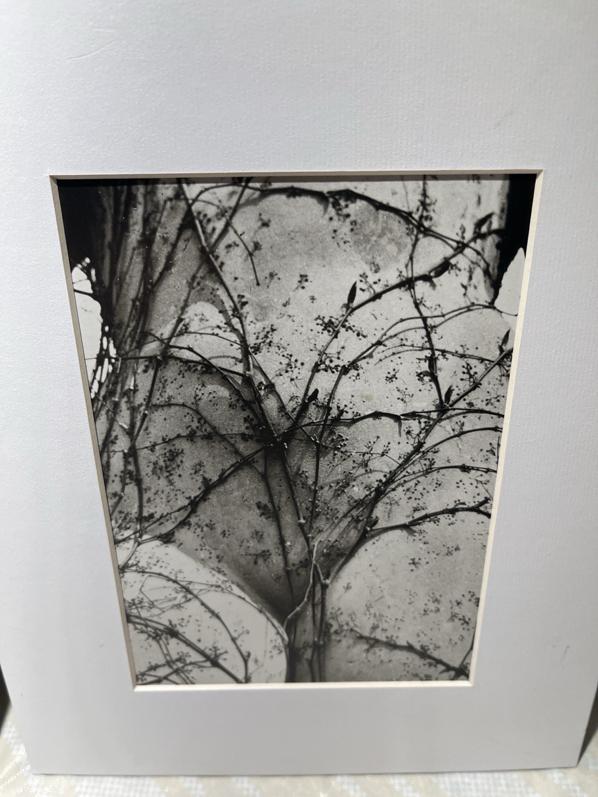 Set Of 2 VTG 8×10” Black And White Art Photography Prints Surreal Abstract Matte