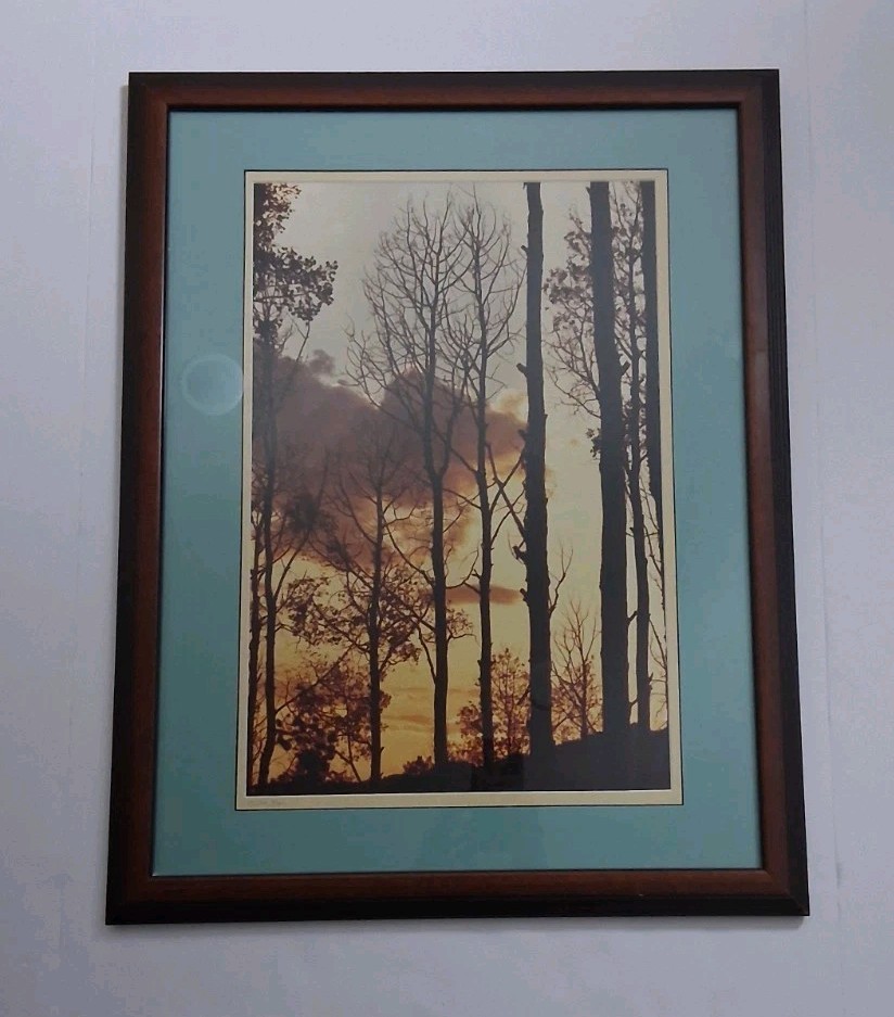 Framed Limited Edition Photograph — Sunset Silhouette Forest — Signed & Numbered