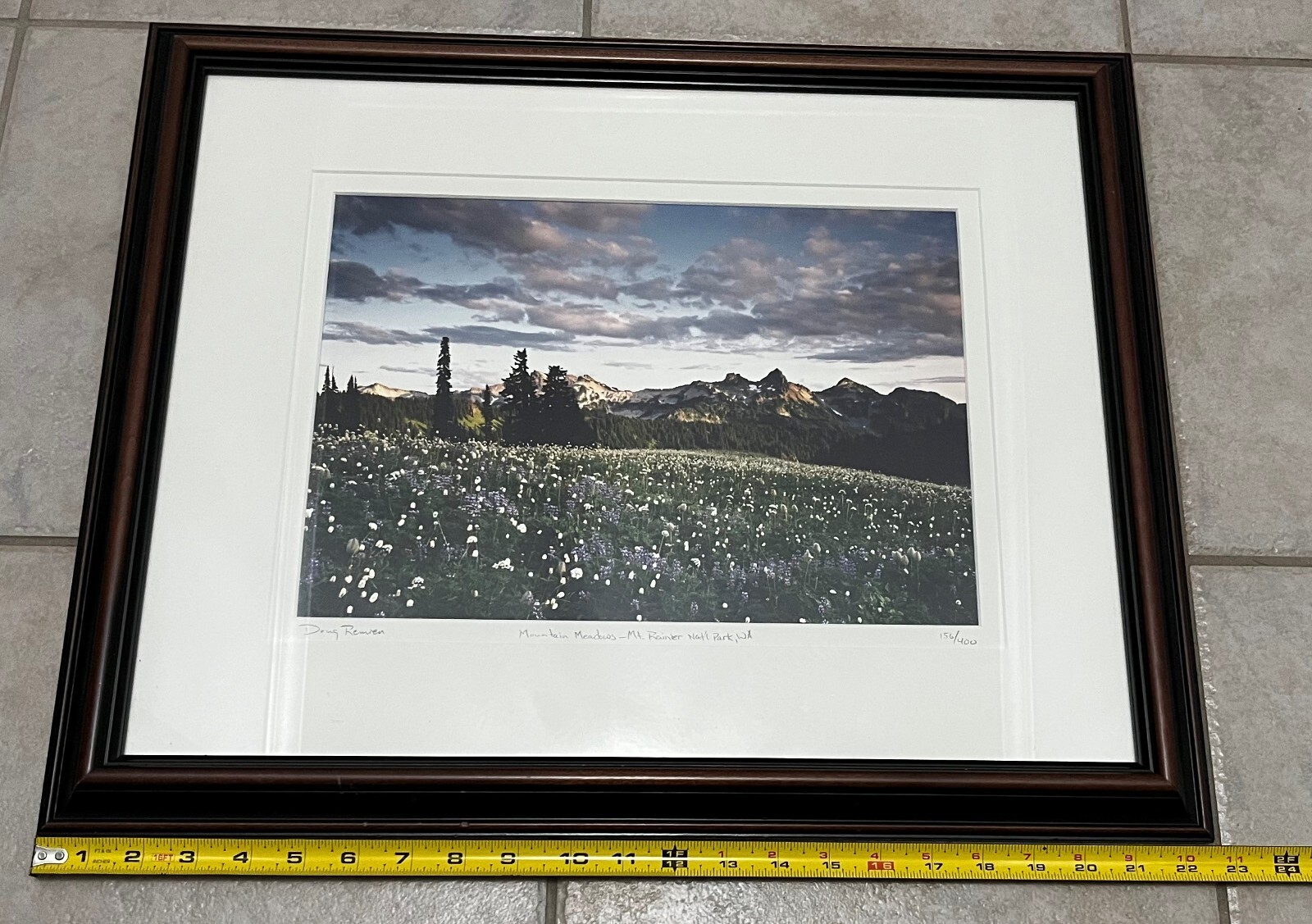 DOUG REMIEN Mountain Meadows Mt Rainer Park 156/400 Limited Signed Framed Photo