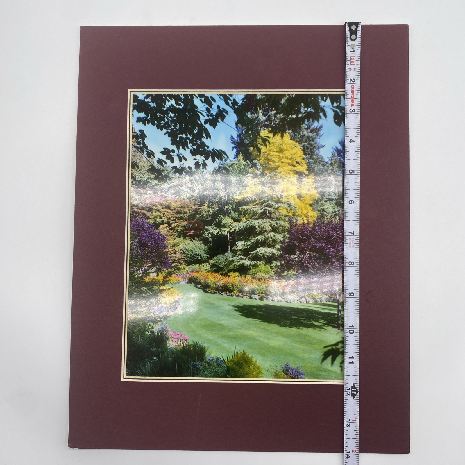 Matted Flower Garden Landscape Photo Print 11 X 14 Wall Art Gallery Decor