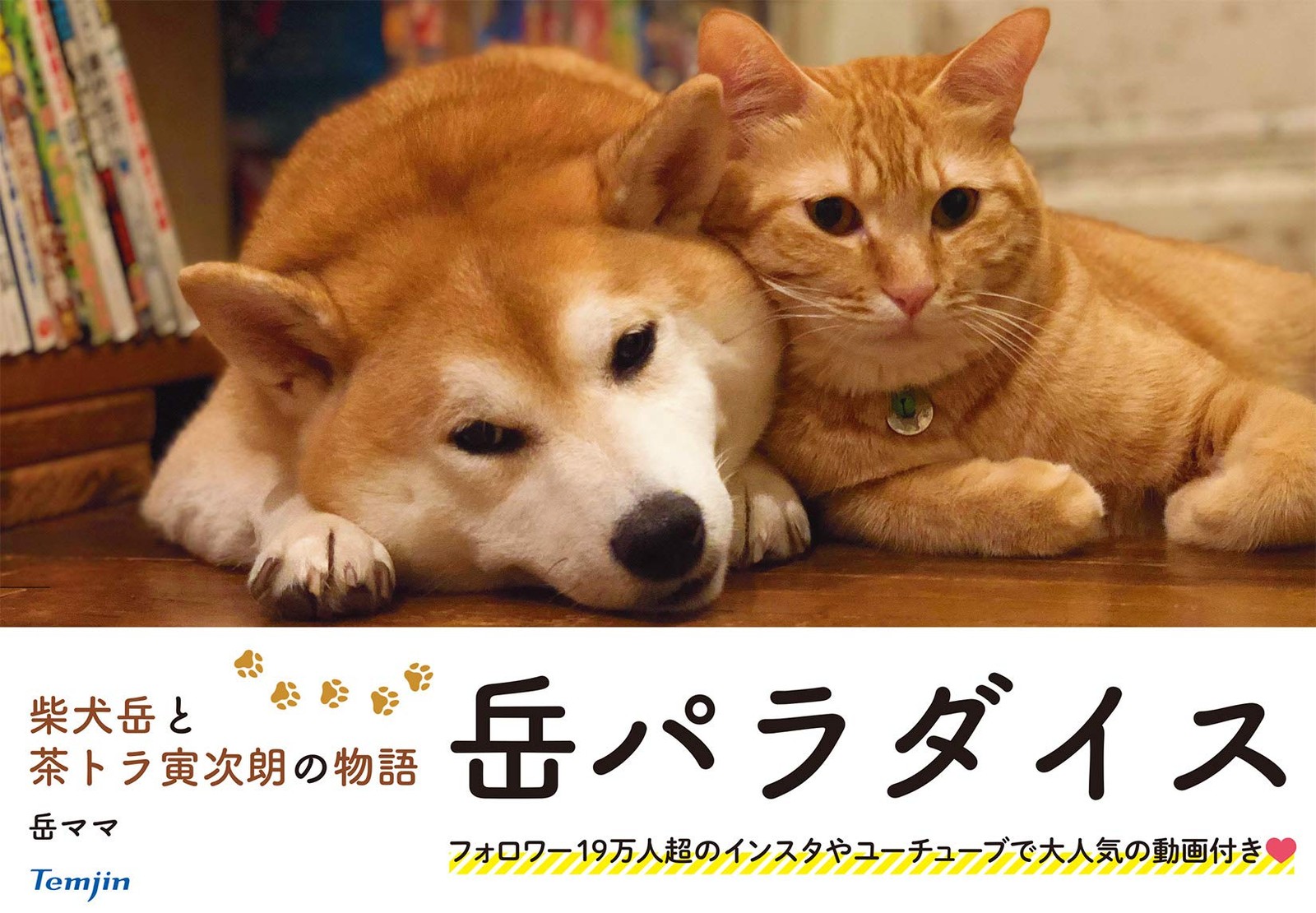 Adventure Tale of Shiba Inu Gaku and Tora’s Journey