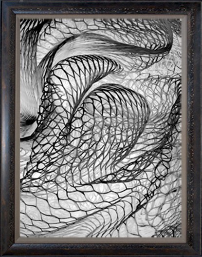 Photographs, 18″x24″ framed, film originals, various subjects, my imagery – $350