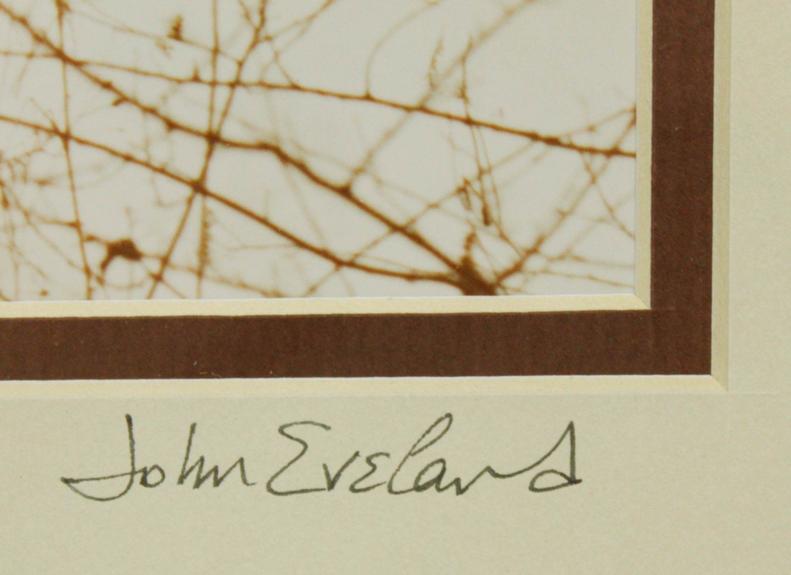 Mountain Lion Stalking in the Snow John Eveland Signed Photo Wood Framed