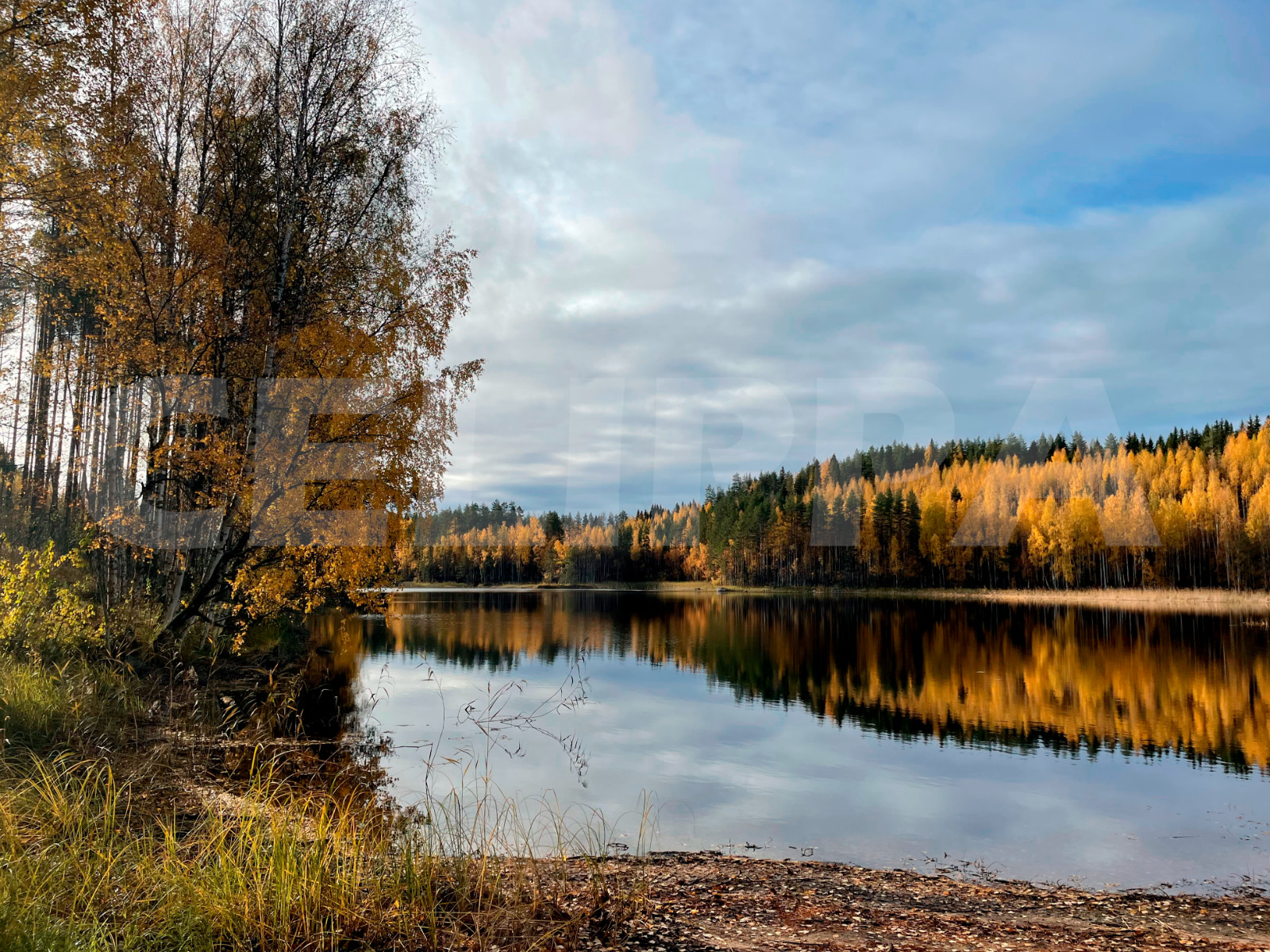 Photo Digital Product Wallpaper Image Picture Background Desktop Art -Lake.Fores