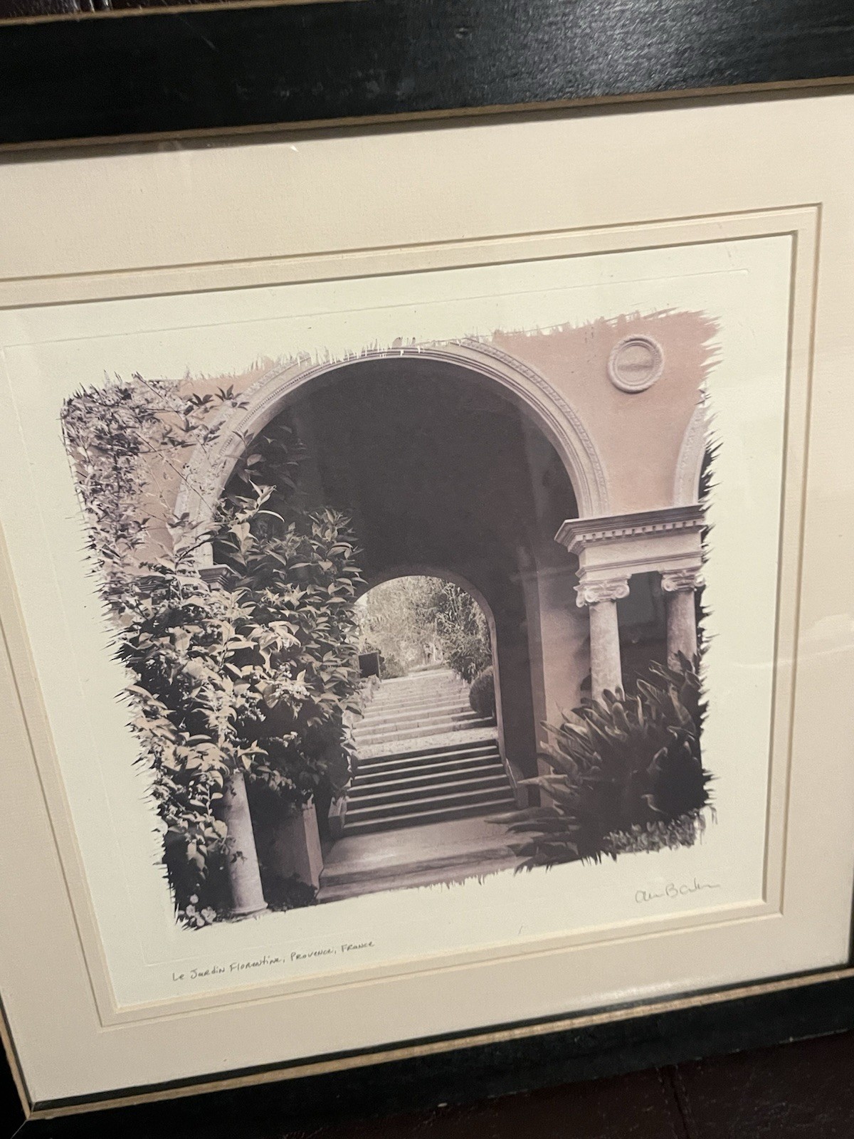 European Garden By Allan Blaustein Photography Framed With Glass 18 1/2 X 18 1/2