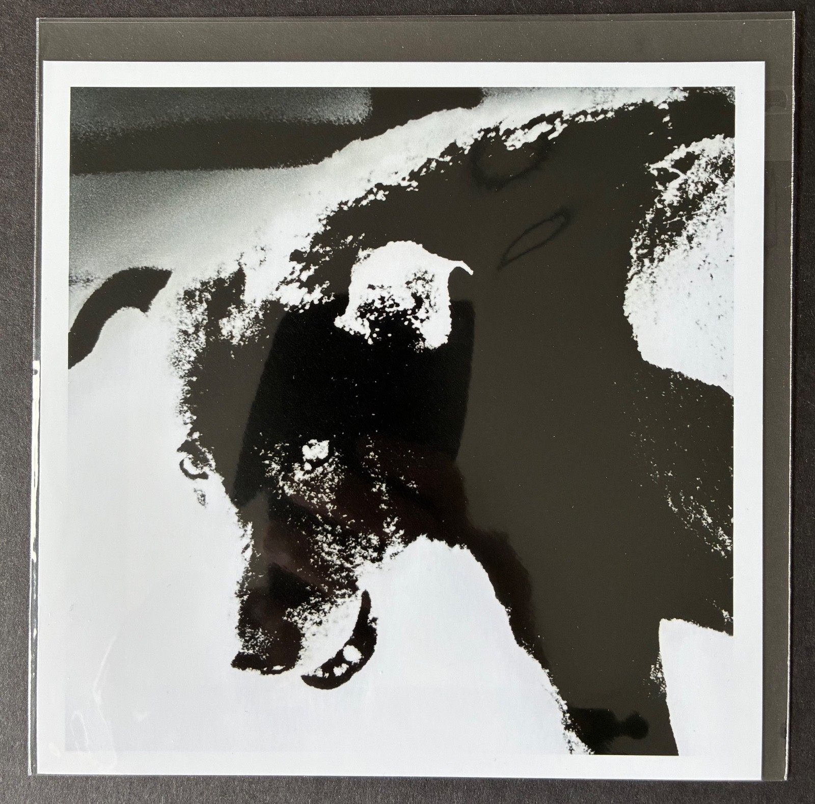 Magnum Square Print by Daido Moriyama: Misawa, Aomori, Japan, 1971 (Signed)