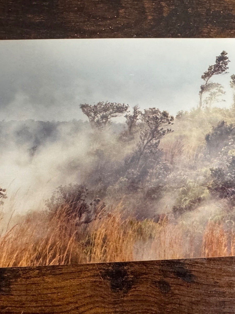 Original Hawaii Travel Photograph Collection | 40+ Color Photos | 4 x 6 Inch