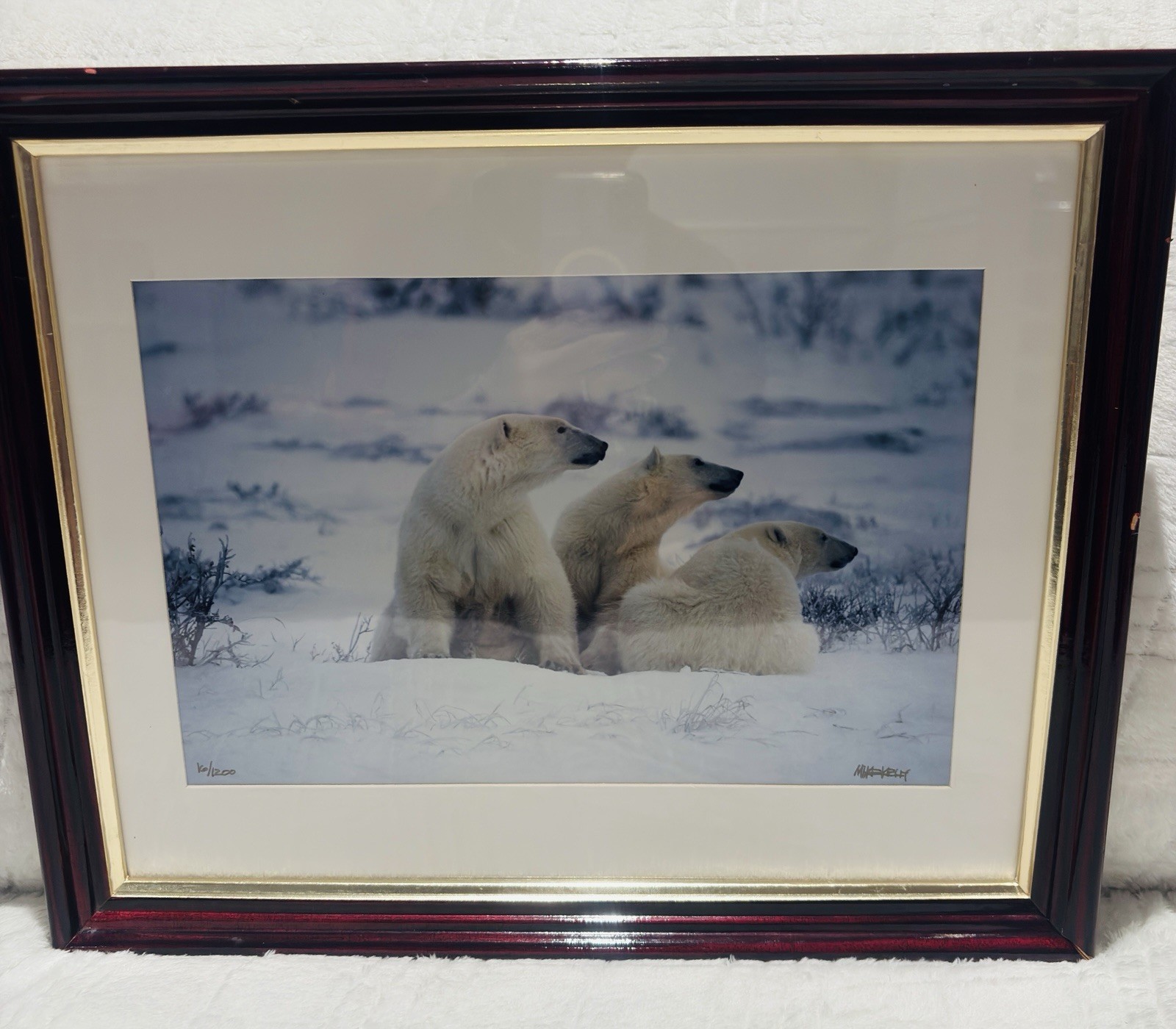 Mike Kelly Framed Limited Edition Photograph Polar Bears in Snow Signed 16/1200