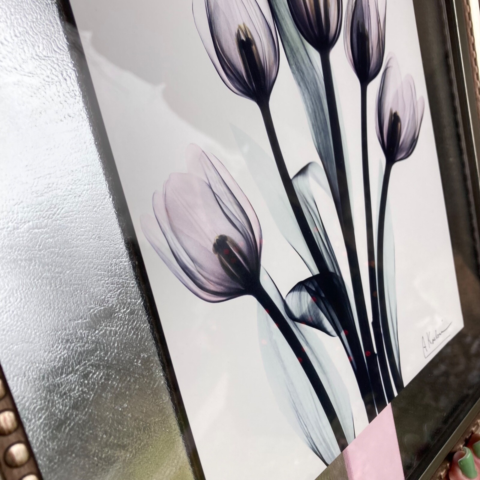 Tulips By Albert Koetsier Artist Signed Radiographic Xray Radio Photography Art