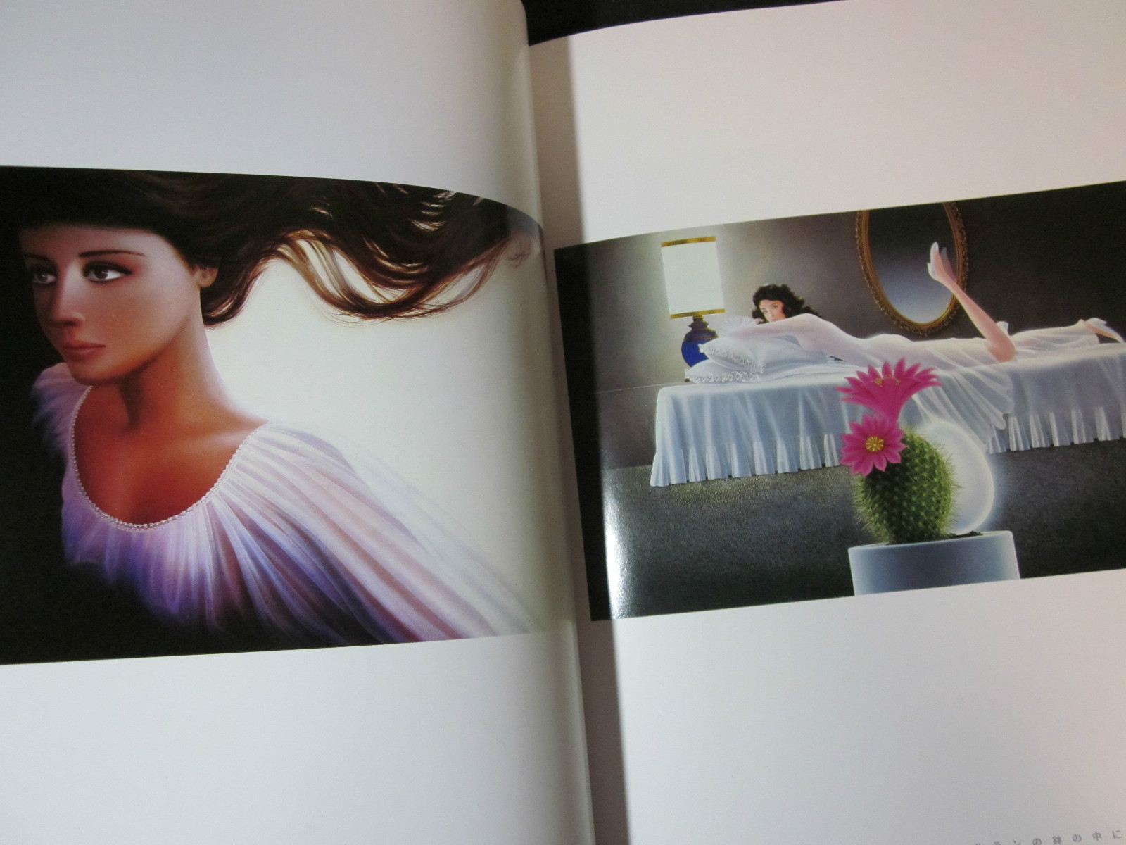 Art Illustrations Book SHUSEI NAGAOKA “ANDROLA IN LABYRINTH” 1984, JAPAN, Good