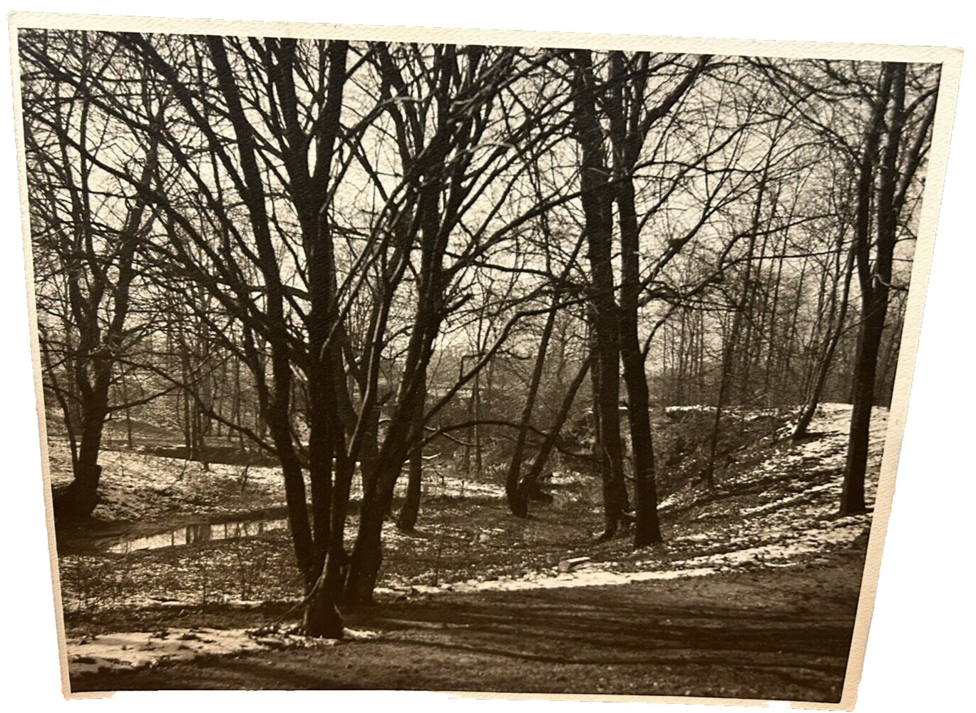 Arthur Gray Standard Oil Photographer Cleveland Ohio Americana Wooded Landscape!