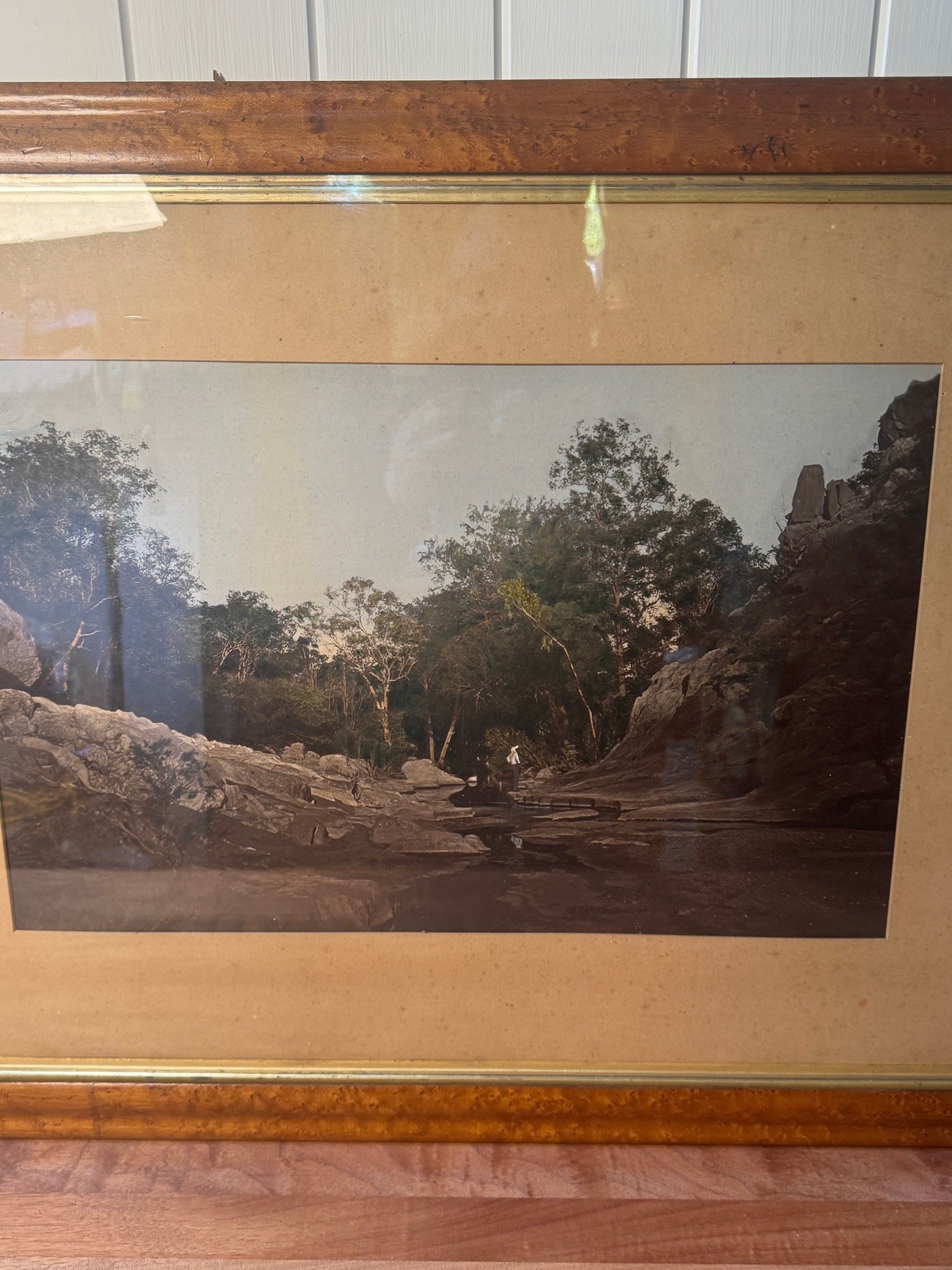 c.1900 Hand-Tinted Albumen Photograph Indigenous Landscape in Burr-Walnut Frame