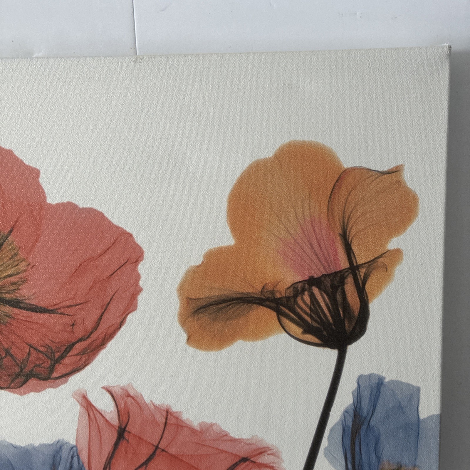 Albert Koetsier 19 1/2 x 15 1/2 Radiographic On Unframed Canvas Flowers Images