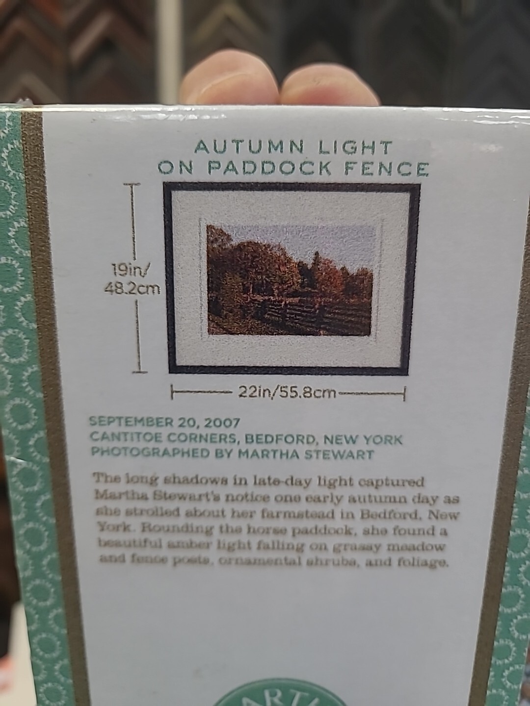 Martha Stewart ”’SET OF 4 FRAMES OF YOUR CHOICE ”’ NEW