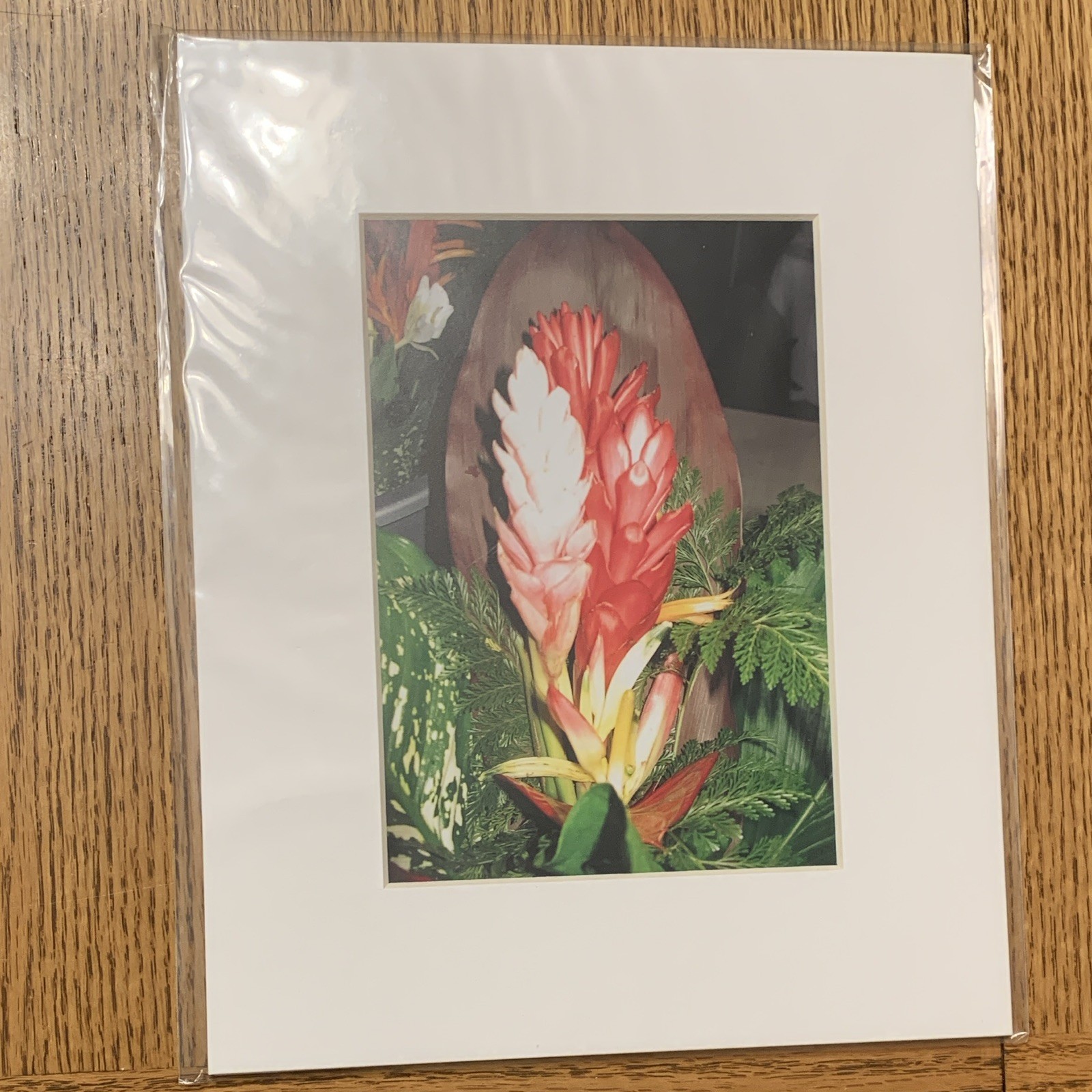 Matted Color Floral Flower Photograph Print – Portrait Nature Theme on Paper