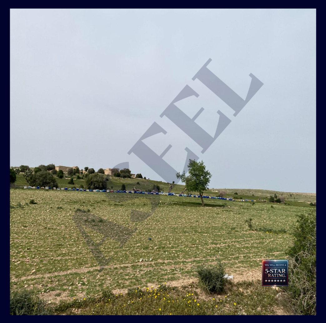 Scenic Farmland with Rolling Hills in Siliana – Ideal for Nature and Landscape-8