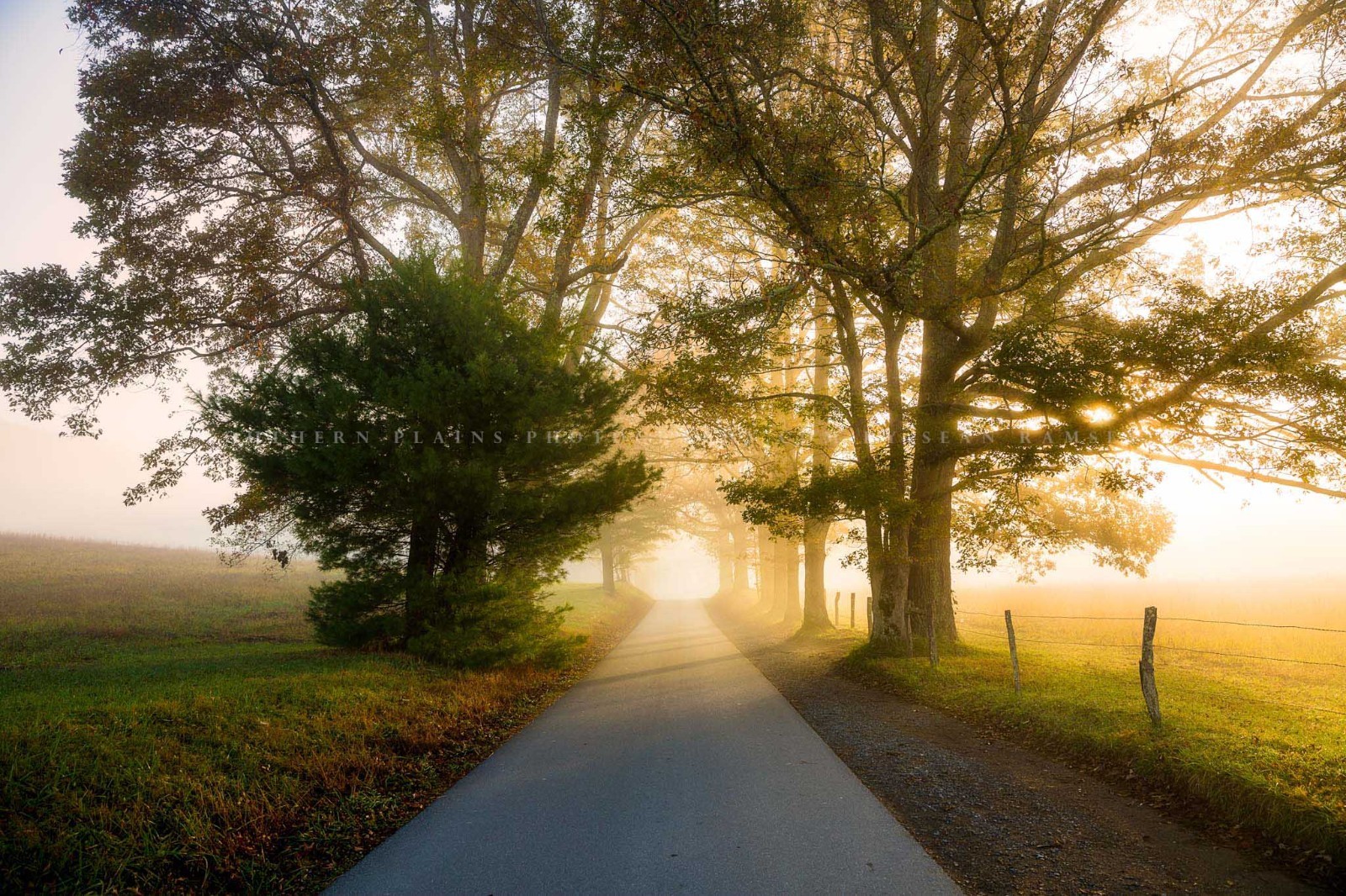 Cades Cove Loop Photography Print: Tennessee Foggy Great Smoky Mountains Photo