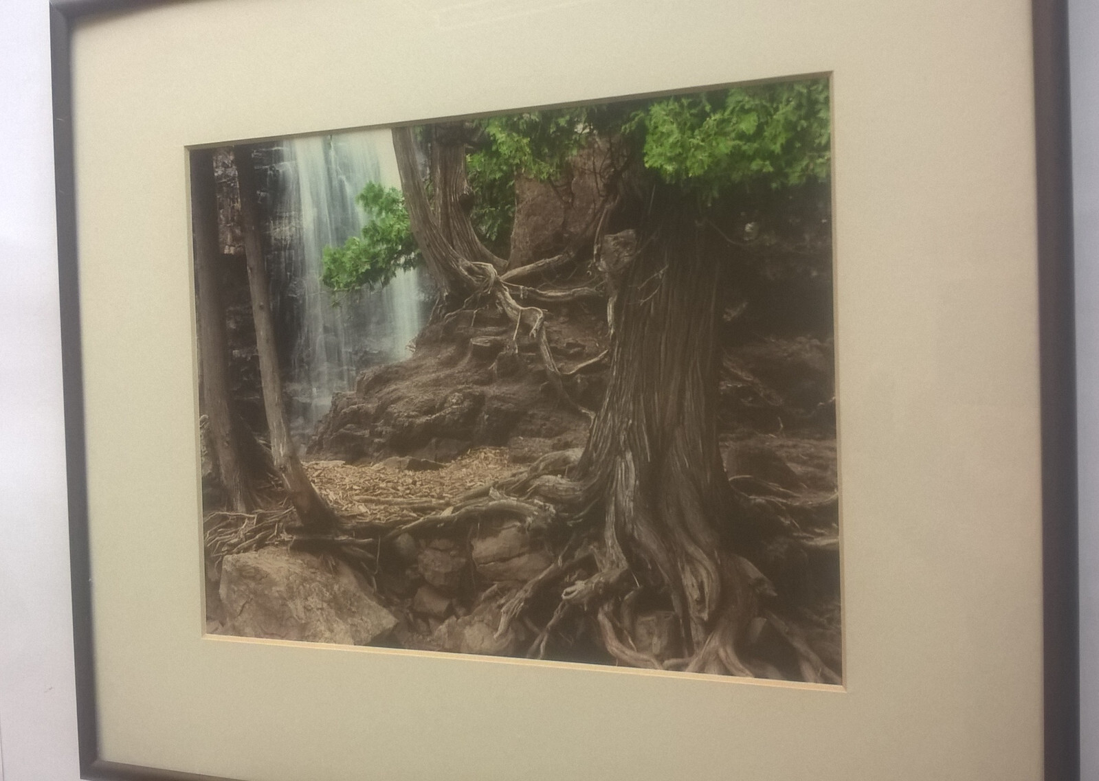 Jay Anderson Photograph Minnesota Gooseberry Falls Framed Art Forest Waterfall