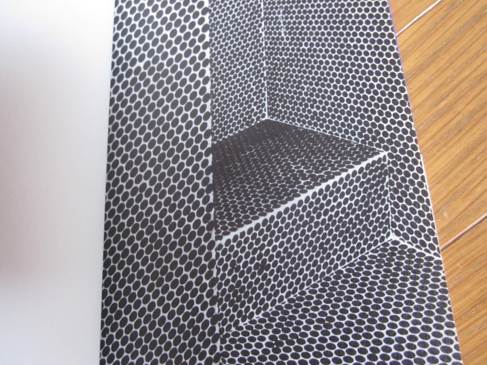 Daido MORIYAMA Photo Book NAKAJI JAPAN 2010 1 st. edition 1 st. print Obi band