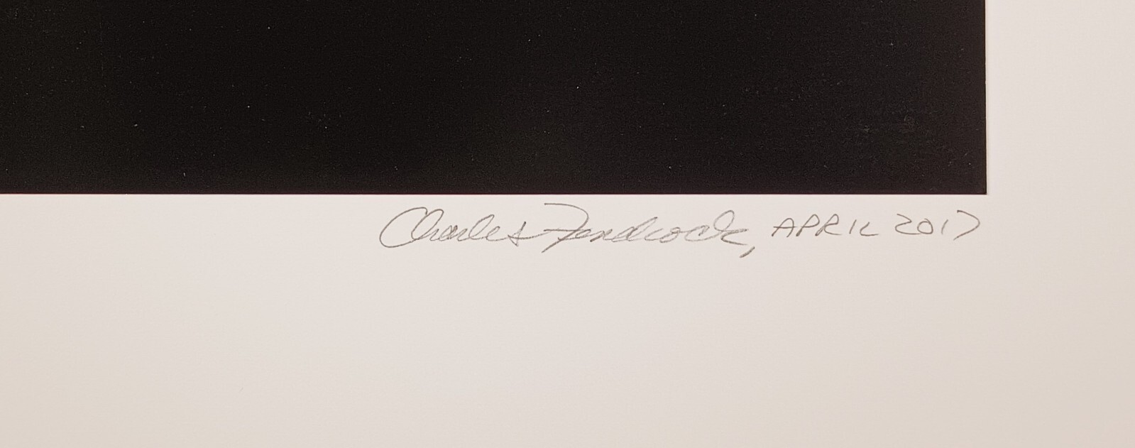 Charles Fendrock ‘Lions Paw, Inside’ Large Format Black & White Photograph
