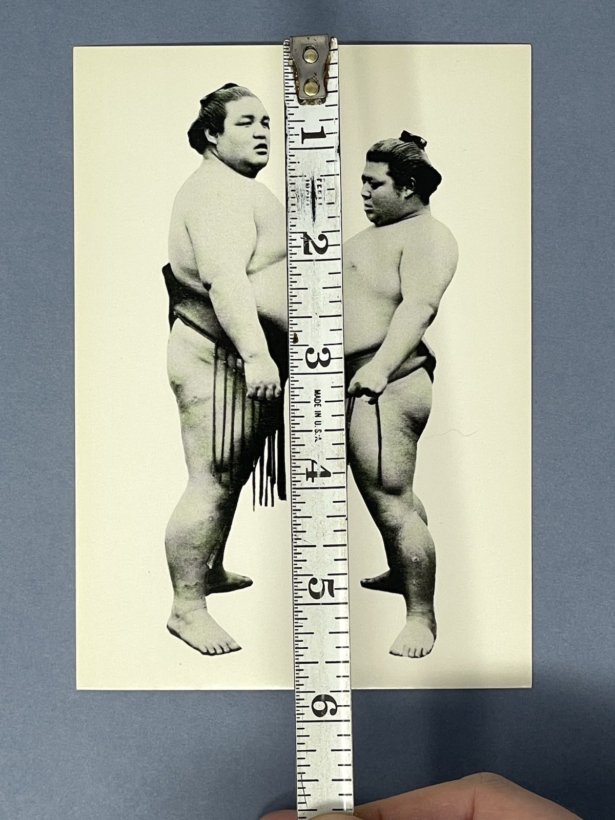 Sumo Wrestlers Art Photo Print Card Fotofolio 4.25”x6” Japan c. 1905