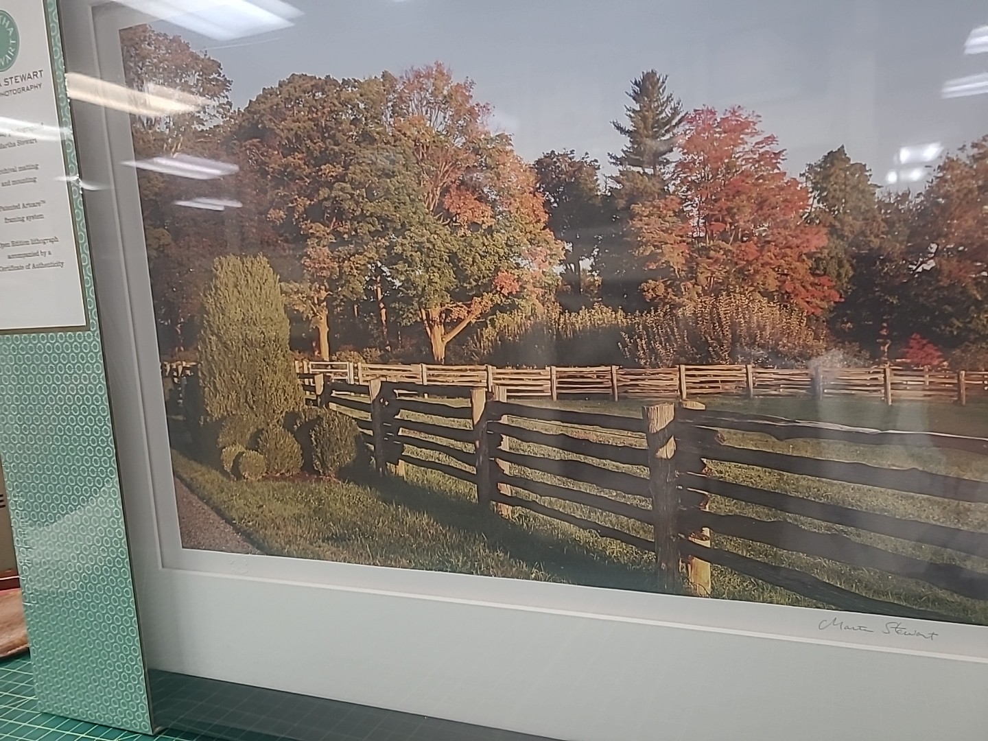 Martha Stewart ”’SET OF 4 FRAMES OF YOUR CHOICE ”’ NEW