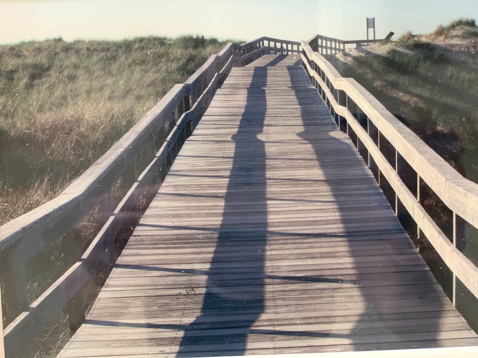 Signed Photo Framed Wall Art Fall Trees, Lake Ocean Boardwalk, Country Photo Art
